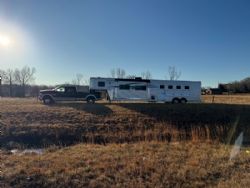 Horse Trailer for sale in AL